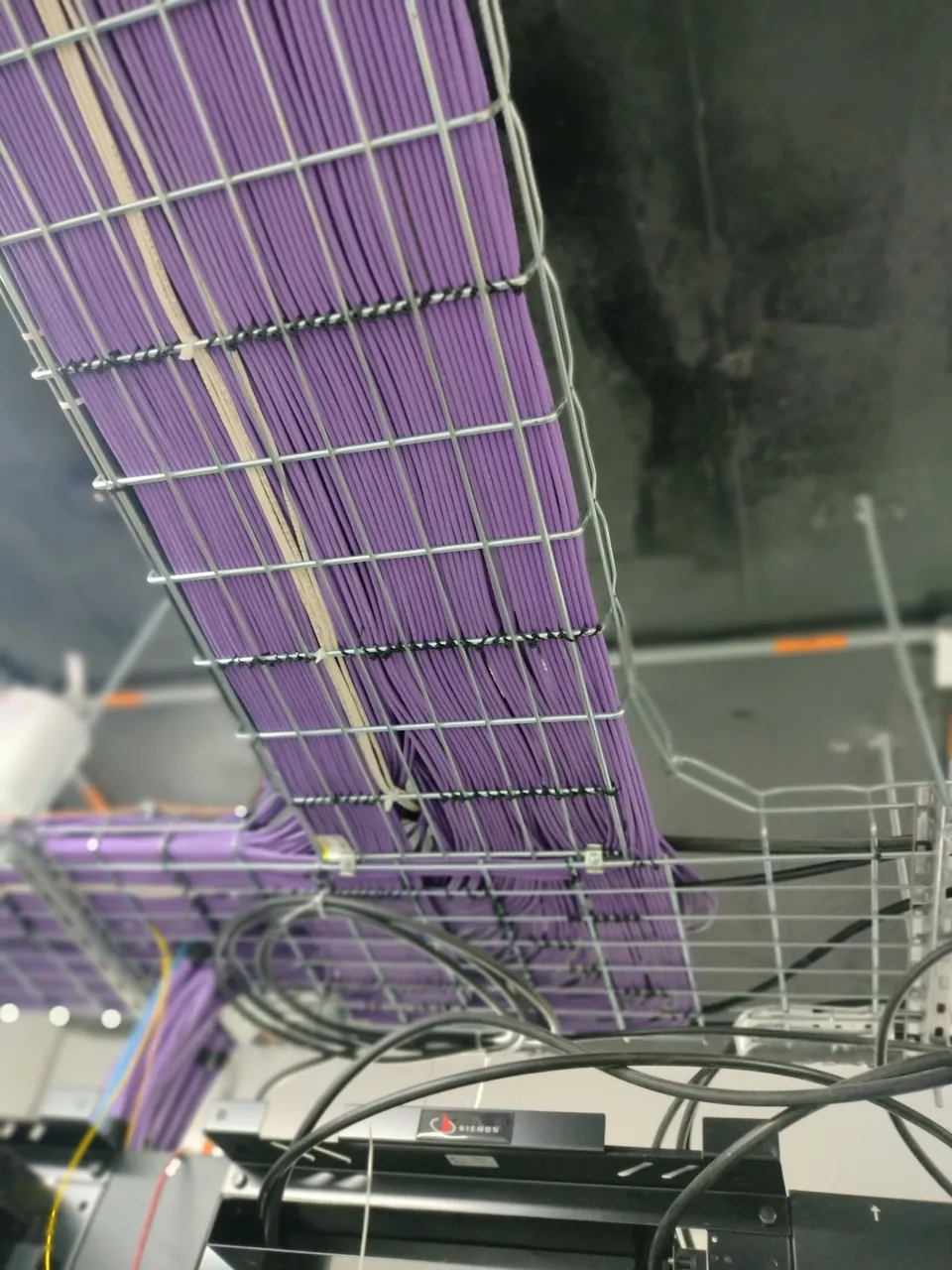 Cientos de cables de red alineados sobre bandeja portacables de malla hacia el cuarto técnico